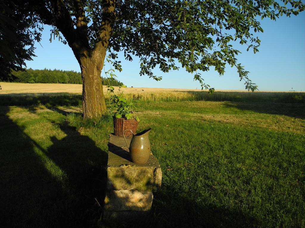 Alte Scheune Rietzschelhof Muglitztal Exteriör bild